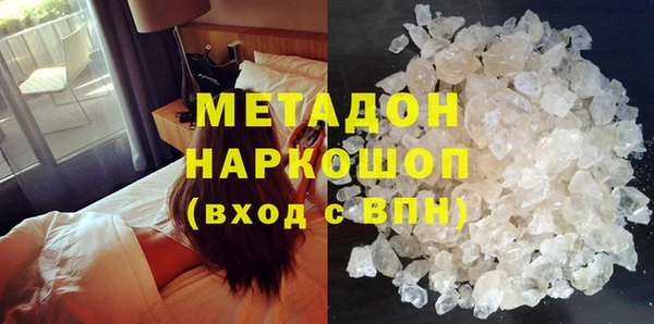 шишки Тайга
