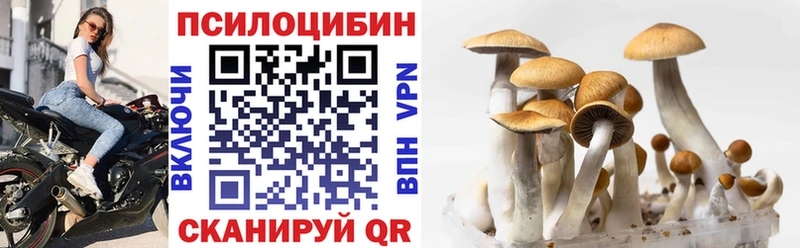 Псилоцибиновые грибы Psilocybine cubensis  купить наркоту  Мелеуз 